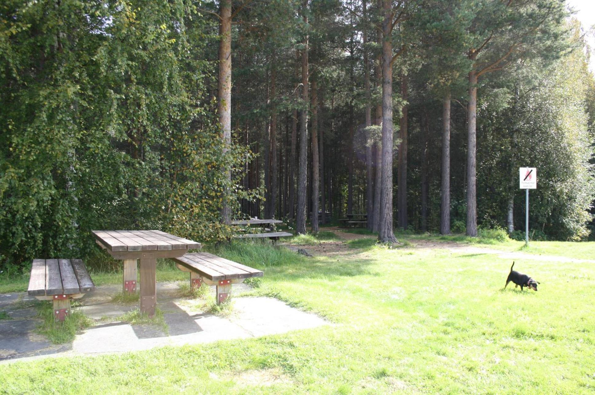 Dovreskogen Gjestegard As Екстер'єр фото