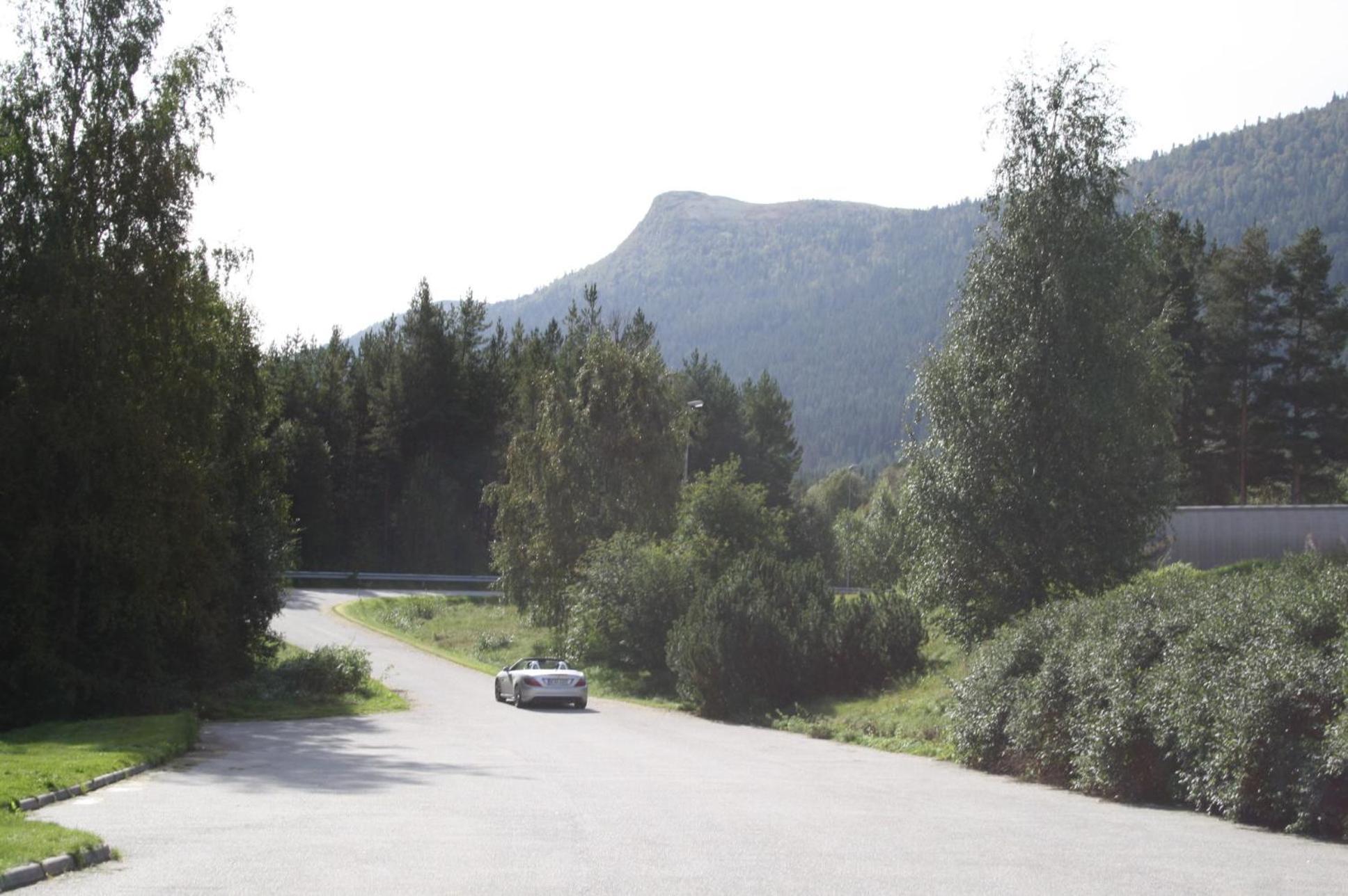 Dovreskogen Gjestegard As Екстер'єр фото